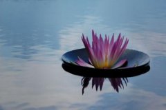 壬戌日与丙子日配吗，壬戌日柱与丙子日柱是否