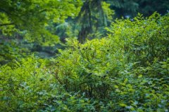 屋上土和壁上土配吗，屋上土和壁上土婚姻如何