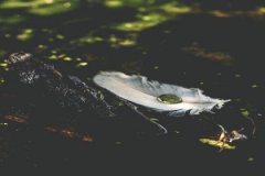 癸巳日与丁未日配吗，癸巳日柱与丁未日柱是否