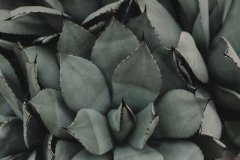 山下火缺什么怎么样，山下火命五行缺什么