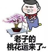 流年遇咸池桃花会怎样？咸池桃花能遇正缘吗？