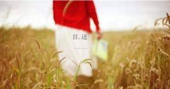 女命八字有比肩多美貌？比肩格女命