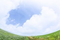 石榴木命佩戴什么，石榴木带什么饰品