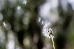 沙中土缺什么怎么样，沙中土命五行缺什么