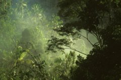 大林木命住几楼最好，大林木命住4楼好吗