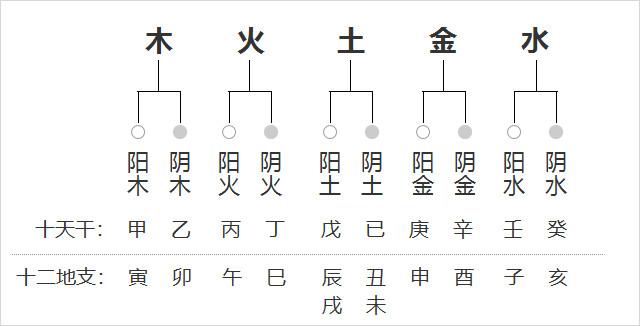 五行查询,四柱八字五行