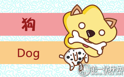 属狗 属狗
