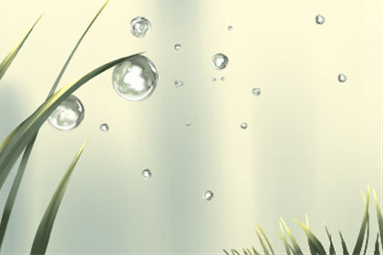 2月十二生肖桃花预先报 2月十二生肖桃花预先报