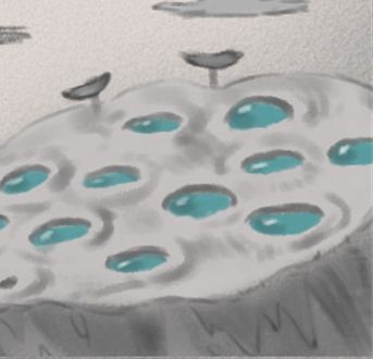 生肖虎 生肖虎