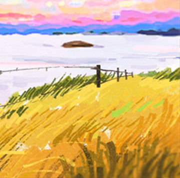 属龙 属龙