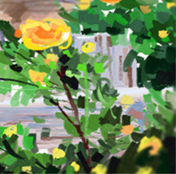 属鸡