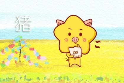 属猪 属猪