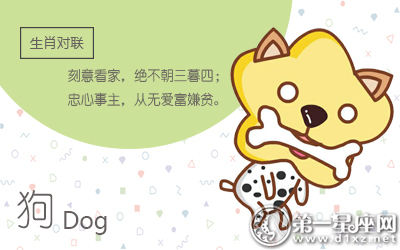属狗 属狗