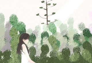 属虎 属虎