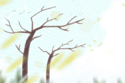属虎 属虎
