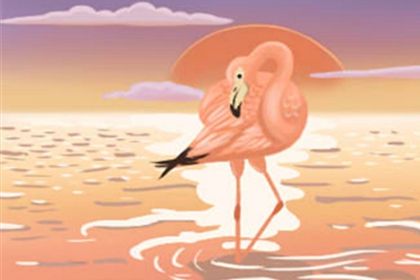属虎男 属虎男