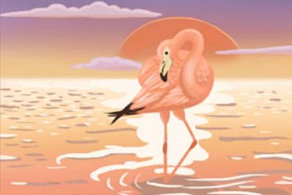 属龙 属龙