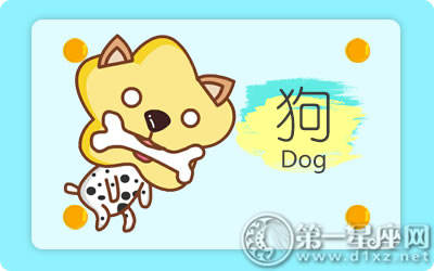 属狗 属狗