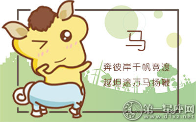 属马 属马