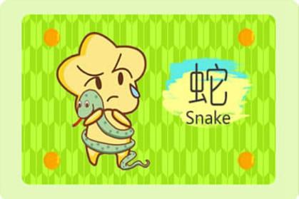 属蛇 属蛇