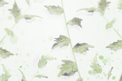 属羊的人外表温和内心强势 属羊的人外表温和内心强势