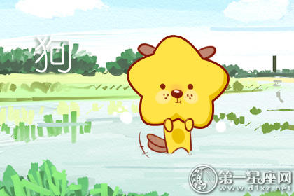 属狗 属狗