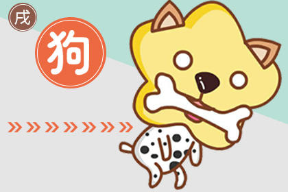 属狗 属狗