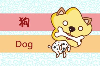 属狗 属狗