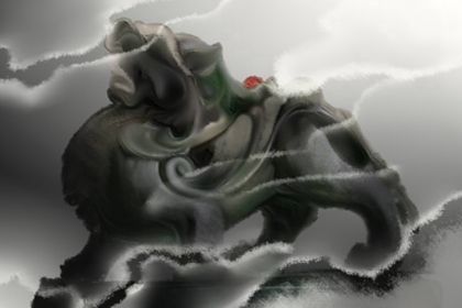 属狗 属狗