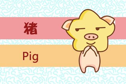 属猪 属猪