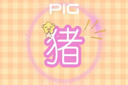 属猪 属猪