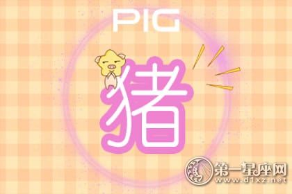 猪 猪