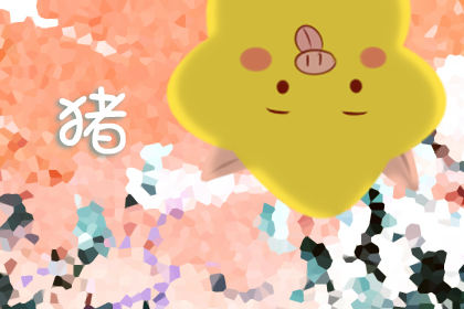 属猪 属猪