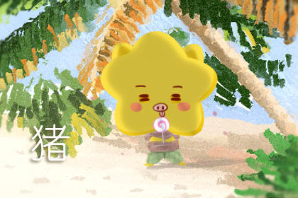 属猪 属猪