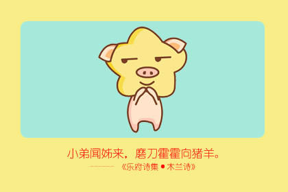 属猪 属猪