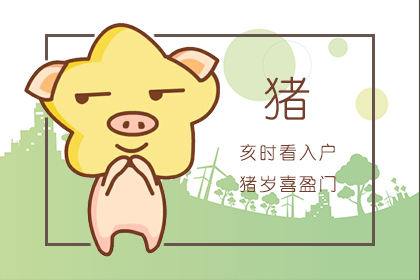 属猪 属猪