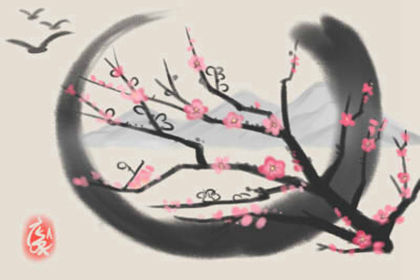 属猪