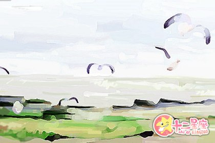 处女男