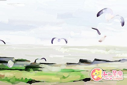 处女男