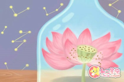 处女座