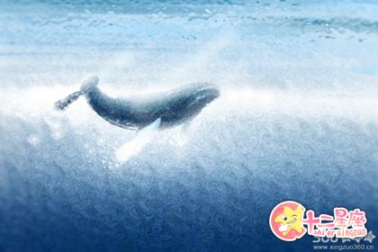 当处女座同性恋和异性结婚会发生啥? 当处女座同性恋和异性结婚会发生啥?