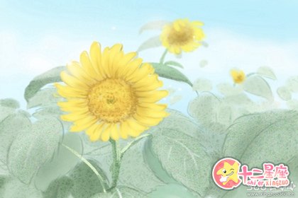 射手女遇到动物受伤会怎么样