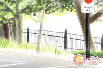 水瓶座