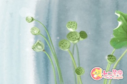双鱼座