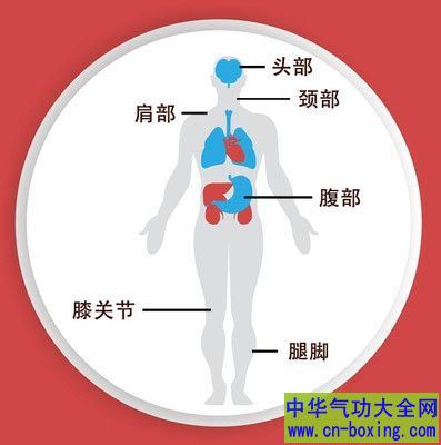 这些部位不宜冻