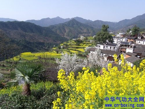为什么住在高山上活得更长寿