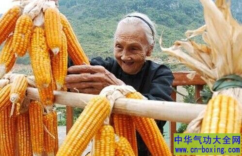 为什么住在高山上活得更长寿