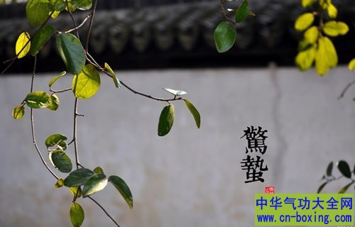 惊 蛰易染病毒 饮 食应该这样吃