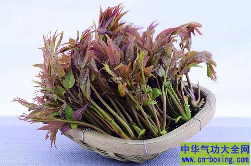 吃春兼养生 四种青蔬不可少