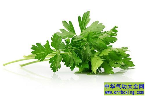 最佳养生时节 春季养生5常识